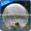 Water soprt toys TPU Inflatable Water ball for water park
