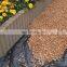 Non woven PP geo woven ground cover fabric