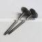 Diesel Engine B3.3T 4D95 Intake Valve C6207414130 4982907