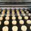 Multi functional small biscuit making machine / machine biscuit / biscuit cookie machine