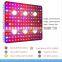 3000W COB LED Grow Light Full Spectrum Veg Bloom for Indoor Plants