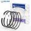745760M91 Standard 98.48mm Diameter Engine Auto Parts Piston Ring For PERKINS A4.236