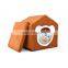 Wholesale Modern House-Shaped easy wash small cheap comfortable felt house pet for Cat Dog