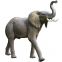 Elephant Large Sculpture Life Size Fiberglass Elephant Fiberglass Life Size Animal Statues