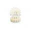 Chinese Coupling Manufacturer Nylon Pinion Gears Pa 6 Nylon Gear Wheel