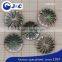 Blacklip Shell Buttons, Mop Sea Shell Buttons, Shirt Button, BL001, BL002