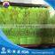 Shore A 85-90 hardess colored PU tube
