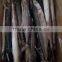 New Arrival Frozen Spanish mackerel