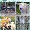 2mm high tensile wire field fencing with best price  express