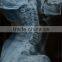 radiographic x ray digital radiography equipment medical x ray equipment digital xray film                        
                                                Quality Choice