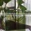4mm-8mm Dark Green Reflective Glass/building glass/tinted reflective glass