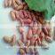 2015 crop long shape light speckled kidney beans