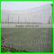 Dense Small Net anti Insect Netting Crop Veg Protection