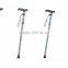 Walking Stick