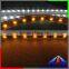 high quality smd 5050 30leds/m DC24V/9w, 5050 flexible led strip light