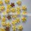 Snack food processing line