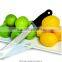 2016 Hot Sale Lemon Zester and Cheese Grater