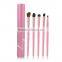 Hot 5 pieces makeup brush for eyeshadow with constellation aluminum case