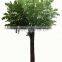 Custom Size Real Trunk Large Artificial Tree