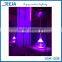 Al fakher shisha tobacco Decorative Remote Controlled Led Glass Hookah Shisha Light