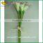 Artificial Mini Calla Lily Bulbs Bouquet Flower for Decoration Supplier's Choice