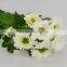 Festival Christmas Wedding Flowers Chrysanthemum Vietnam With 10 Stems/Bundle Flower Small Chrysanthemum With 0.5kg/Bundle Chrys