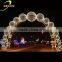 New christmas lights gold outdoor LED christmas light
