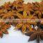 Star Aniseed Autumm Crop Good Quality Strong Smell 3-4cm