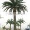 steel telecommunication bionic palm tree tower/decorative palm tree                        
                                                                                Supplier's Choice