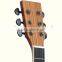 36inch Zebrawood Guitar,mahogany Guitar Made in China(L-T30S-36)