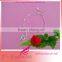Decorative Rhinestone Metal Jewelry Trendy Crystal Bra Strap