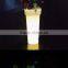 Top Sell High Quality Decorative Lights Multicolored plastic led vase light