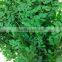 moringa powder leaf private label ( skype: liu.diana 79, whatsapp: +861502902563)