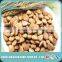 100% Nature Apricot Kernels