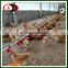 farming equipment poultry automatic chicken dinker line for broiler