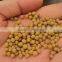 Fish Feed