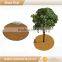 Green Field biodegradable tree ring disc