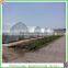 High quality 9.6m multi-span commerical plastic greenhouses for agriculture