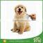 Long Blades with Safety Edges Pet Dematting Comb