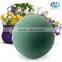 Hebei Huiya Spherical Shapes of Floral Foam Supplies
