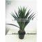 SAS201606 Cheap Artificial Green Plant,China Supplier Foliage Plant Bonsai