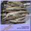 China Seafood Factory Supply Skinless Tuna Loins for Can