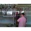 Halal Chicken Slaughter  Euipment Line