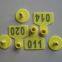 134.2kHz Fdx-B Standard Plastic RFID Electronic Ear Tag Aikeyi Technology