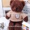 2015 hot selling Animal big toy stuffed Teddy bear high quality wholesale price teddy bear custom stuffed toy cartoon logo