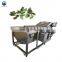 mulberry lychee carrot washing machine washing fruit machine water bubble vegetable washing machine