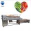 Stainless steel potato and fruit washing and peeling machine