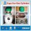 Short Delivery Time 25L 150Bar Steel Gas Cylinder