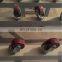 Economical and practical insulating glass edging machine