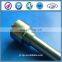 LP004B AXG Nozzle Fuel Injector Nozzle LP004B AXG With Lowest Price